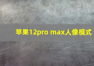 苹果12pro max人像模式